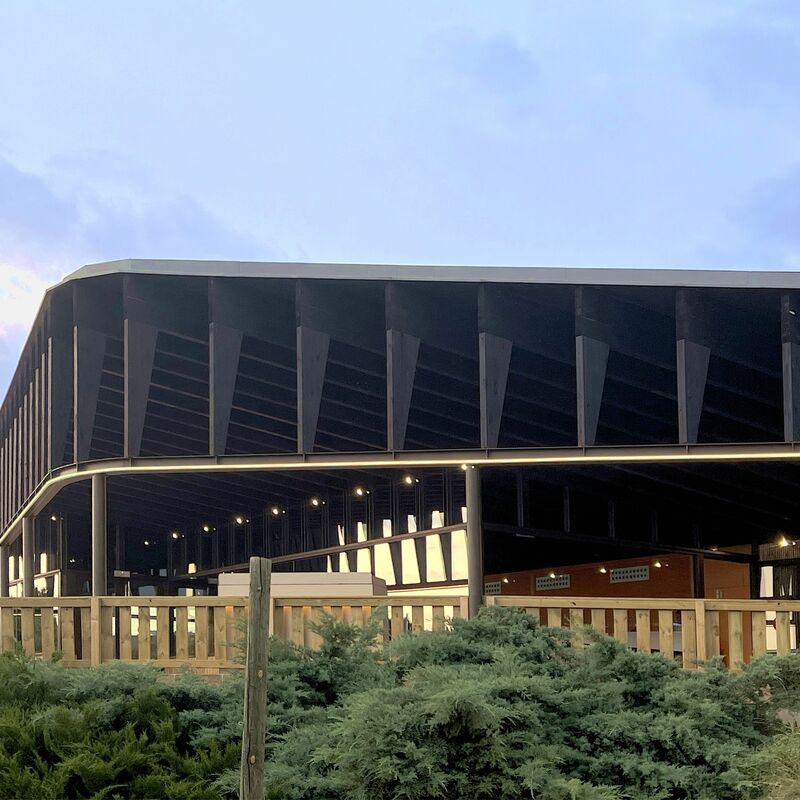 ESTRUCTURA DE MADERA DINOPOLIS TERUEL